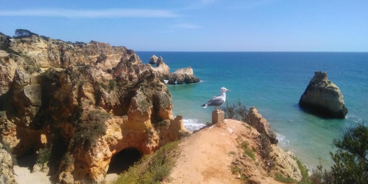 Alburvillage A - Apartamento Novo Em Alvor Extérieur photo